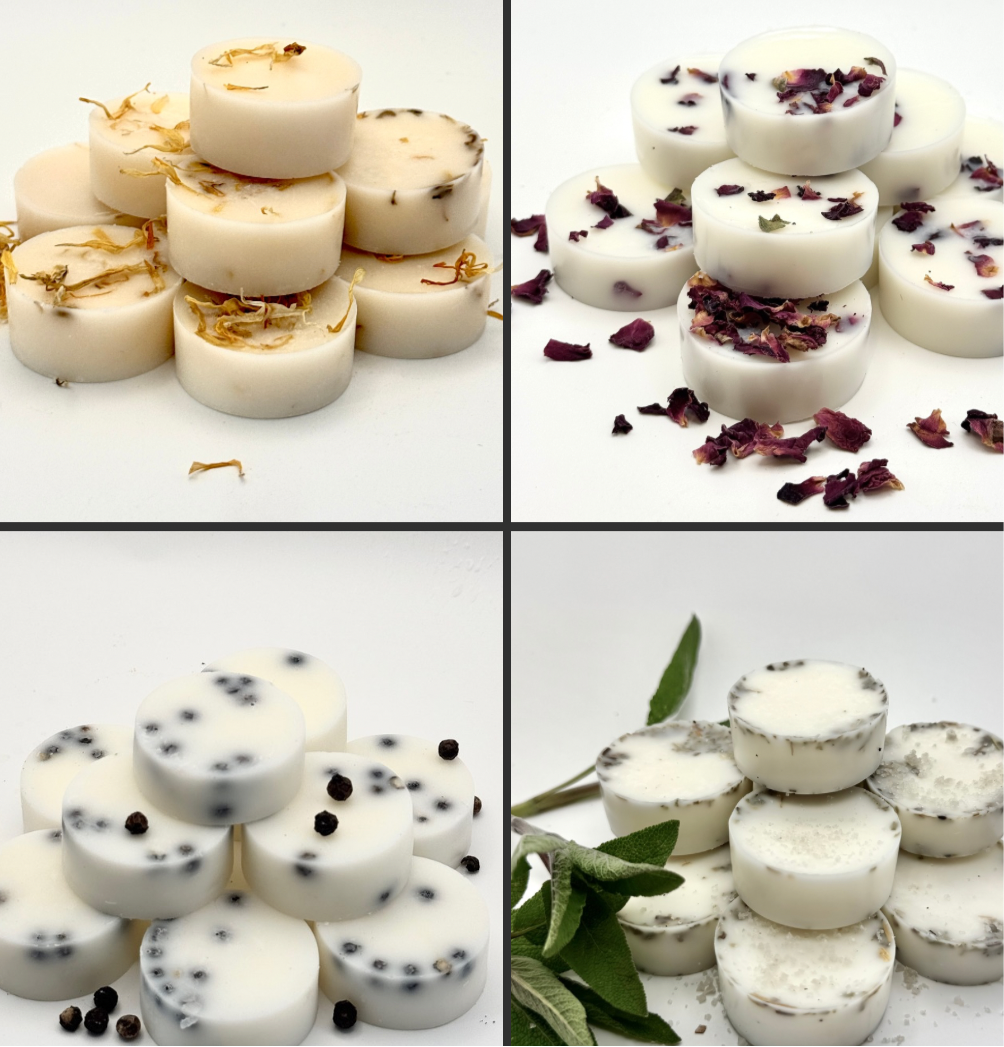 Evergreen Collection Variety Pack