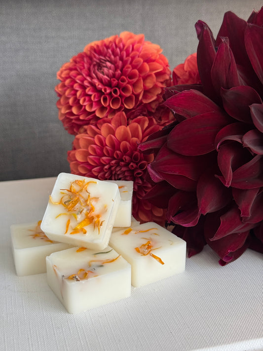 Pumpkin Season Wax Melts